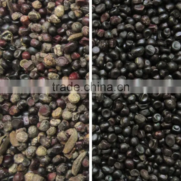 New Arrival CCD Seed Optical Machine photo-2