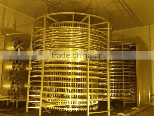 Fruit Spiral Freezer photo-4