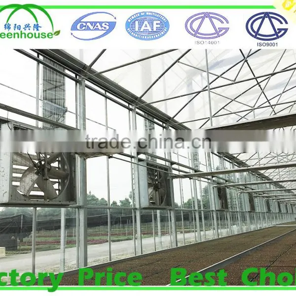 Agricultural Glass Greenhouse for Sale photo-2