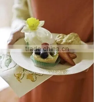 Bamboo Plate For Snack photo-3