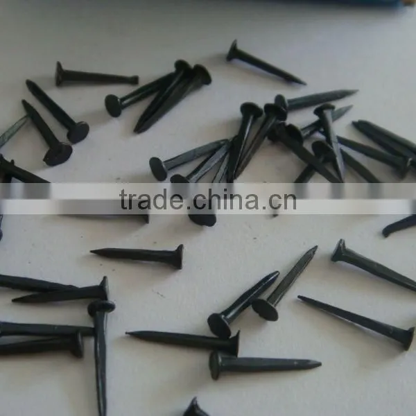 Quality Shoe Nails / Shoe Tacks photo-3