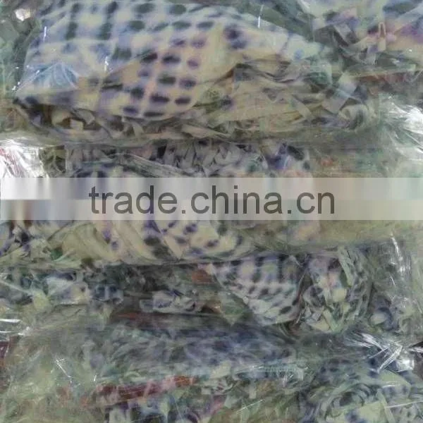 GZY Wholesale Bulk Bras With High Quality photo-2