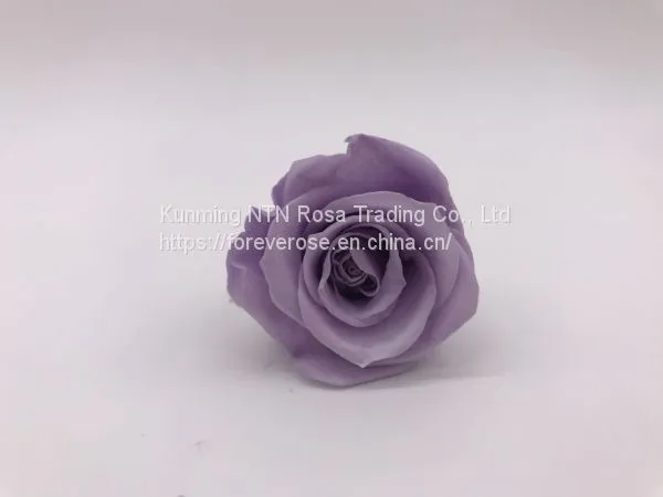 Wholesale3-4cm Elegant Real Touch Preserved Rose Flower photo-2