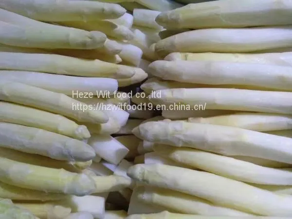 IQF White Asparagus Spears