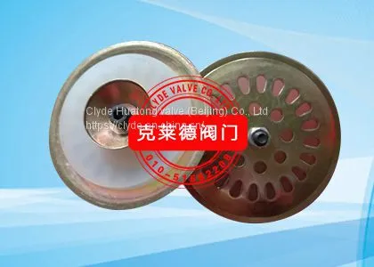 CLYDE Check Valve spool  DN40  A3279