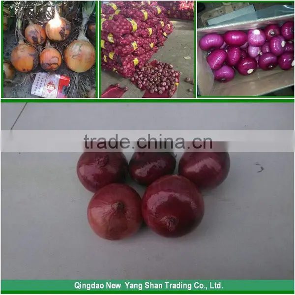 Sell Cheap Onion 2016 Spring Onion Red/Yellow/White Onion photo-4
