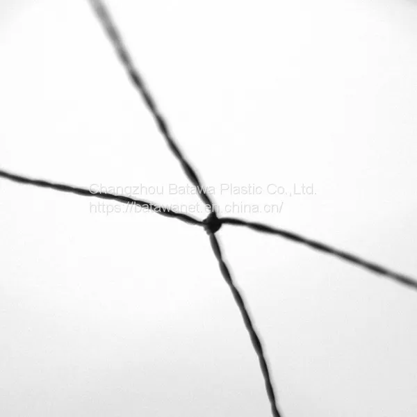 Batawa Agriculture Crop Protection Pole Trapping Barrier Control Hunting Polyster Anti Mist Mesh Bird Net Price photo-3