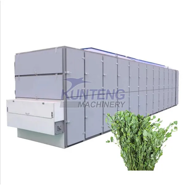 Large Automation Alfalfa Hay Grass Mesh Belt Dryer Pennisetum Purpureum Forage Drying Machine EPC