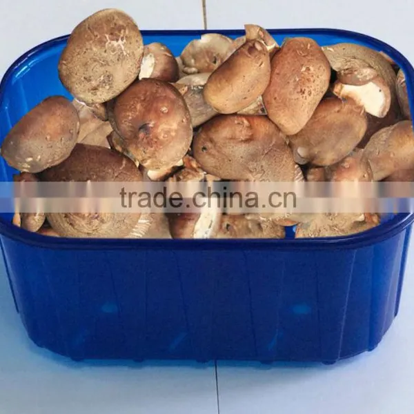 Plastic Packaging Material For Frozen Food photo-2