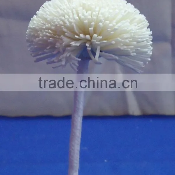 Sola Flower photo-2