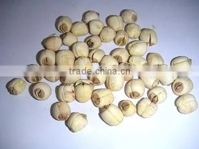 Lotus Seeds