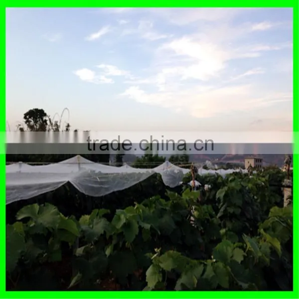 HDPE Anti Hail Protection Net Apple Tree Net photo-4