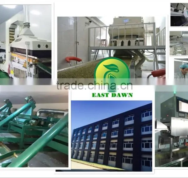Chinese Wholesale Sunflower Seeds With Good Quality 2015 New Crop 5009 363 0409 photo-6