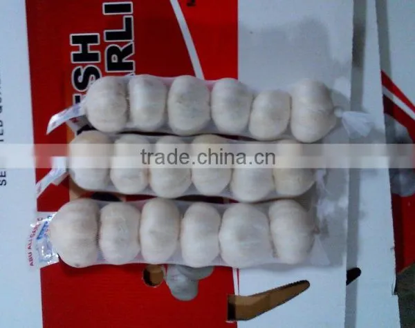 Snow White/pure White Garlic photo-2