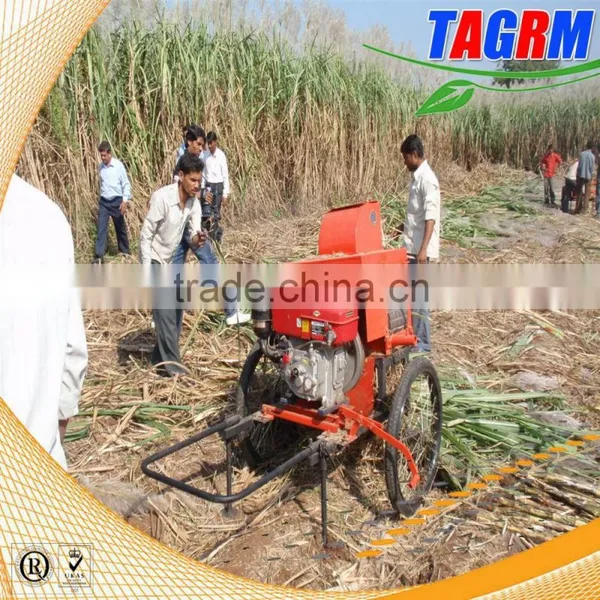 6BZ-5 Mini Sugarcane Machine Leaf Cutter Easy Operation Sugarcane Leaf Remove photo-5