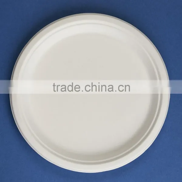 PL-10 10 Inches Bio-degradable Disposable Sugarcane Paper Microwave Plates Quality Choice photo-3