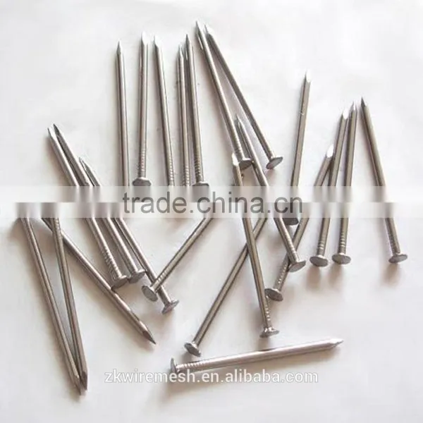 Common Nail/ Common Wire Nail/common Iron Nails