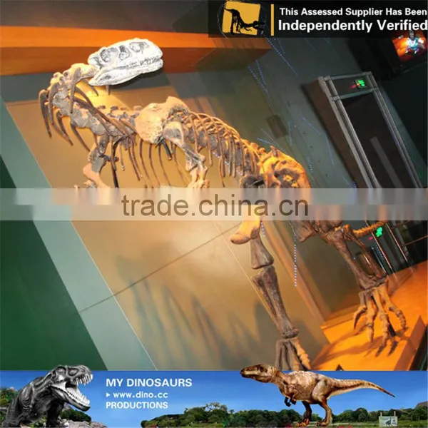 MY Dino-C093 Museum Exhibition Dinosaur Egg Specimen photo-5