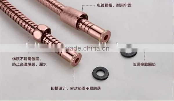 Oil Rubbed Bronze Antique Shower Hose With 304,bathroom Accessories photo-2