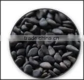 Black Sesame Seeds