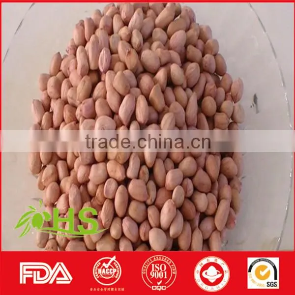 Fresh and New Blanched Peanut Kernel photo-4
