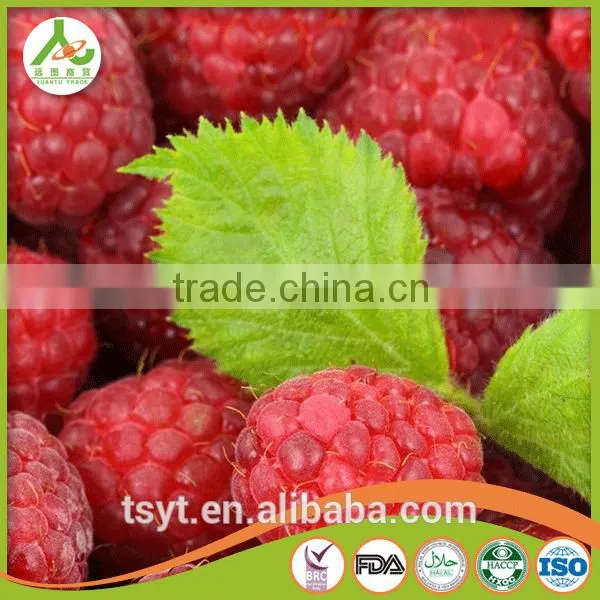 2016 Common and Organic Season Frozen Iqf Raspberry photo-2