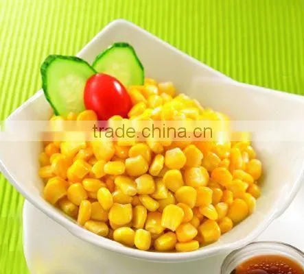 Canned Food Best Canned Sweet Corn Kernel With Good Price photo-2
