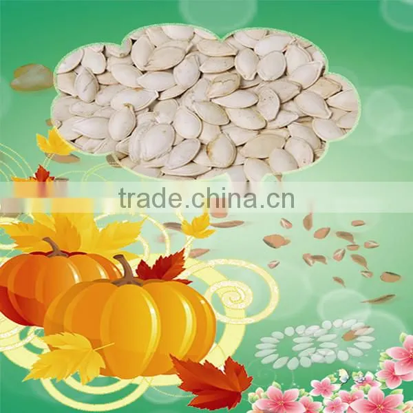 Wholesale China Shine Skin Pumpkin Seeds photo-5