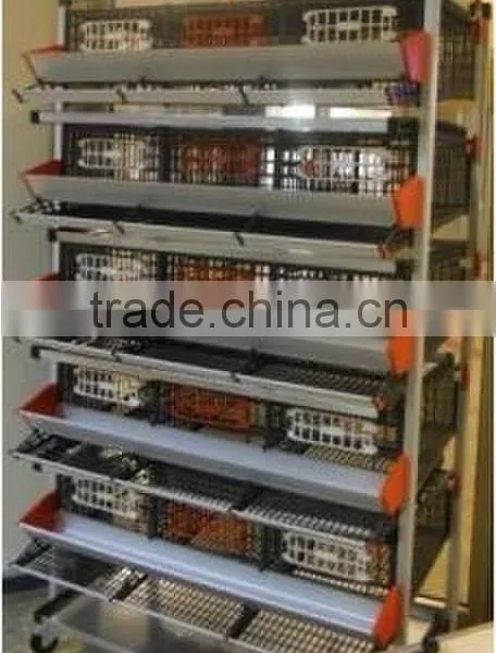 Automatic Poultry Farming Equipment for Layer Quail r photo-3