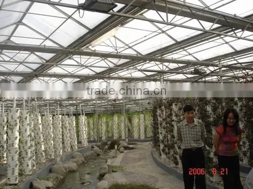 Greenhouse From Beijing in China photo-3