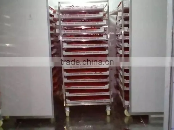 Hot Air Circulation Industrial Pepper Drying Machine photo-6