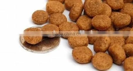 Pet Food Machine photo-5