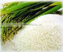 FE-06 High Speed Soybean and Rice Grinding Machine Sesame Almond Maker Peanuts Machine photo-3