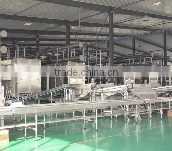 Fig Multiple Layer Continuous Type Mesh Belt Dryer photo-4