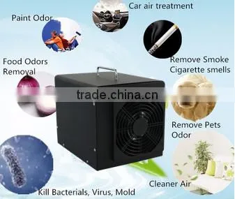 Natural Ozone Portable Air Ozone Sterilizer for Air Treatment photo-3