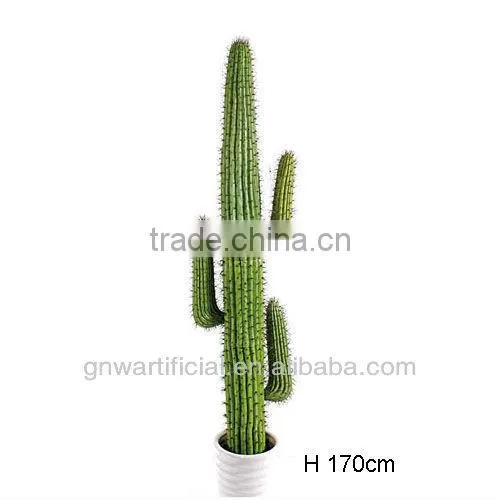 GNW G85 Tropical Tree Plant Larger Pot Home Decoration Hot Sell photo-3
