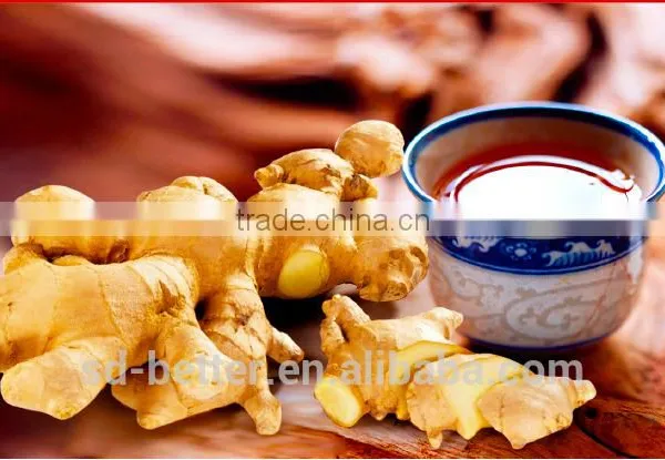 Hot Sales Instant Red Sugar Ginger Tea photo-4