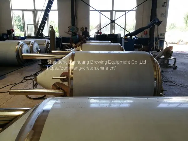 600L Beer Fernentation Tank Beer Fermenter Beer Brewing Equipment for Sale photo-4