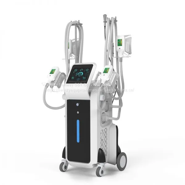 4 Handles Cryolipolysis Fat Freezing Machine Vacuum Fat Cellulite Machines for Body Slimming in Discounting Spa/clinic photo-5