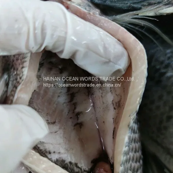 Tilapia Gutted and Scaled 350-550 photo-2