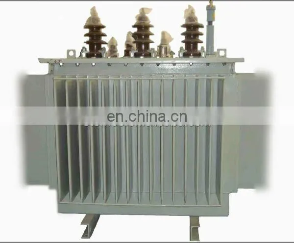 Oil Type Electric Transformer Manufacturer photo-4
