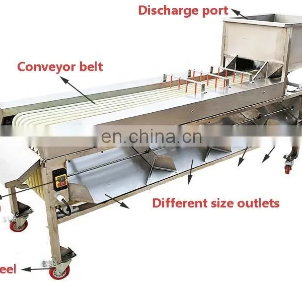 Apple Grading Machine/Potato Sorting Machine/Apple Sorting Machine. photo-3