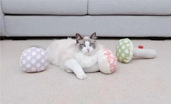 Colorful Mushroom Toys for Pet