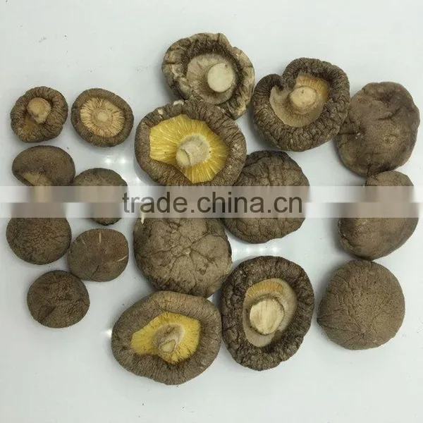 Wholesale Factory Prices for Shiitake 1KG photo-3