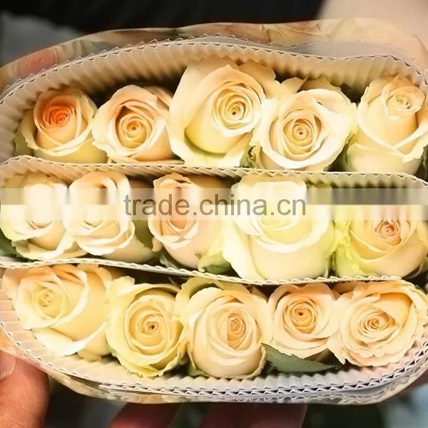 High Quality Promotional Champagne Color Rose Flowers photo-5