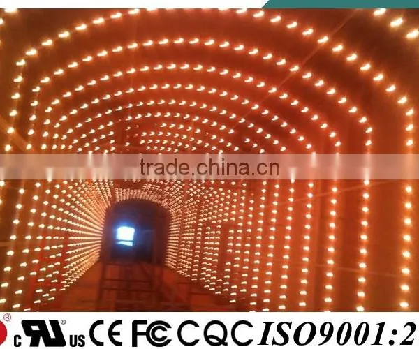 YD CE UL Approved IP68 Amusement Rgb Led photo-5