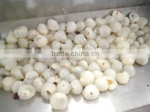 Lychee Shucker LX-3A From XinXiang Leading Machinery photo-2