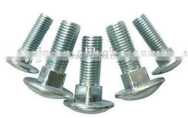 Hot Sell Carriage Bolt Din603 Made in China photo-6