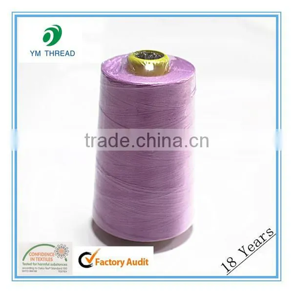 Sewing Thread 40s 2 Polyester Yarn Manufacturer for Garment photo-5