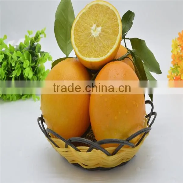 Sweet Navel Orange